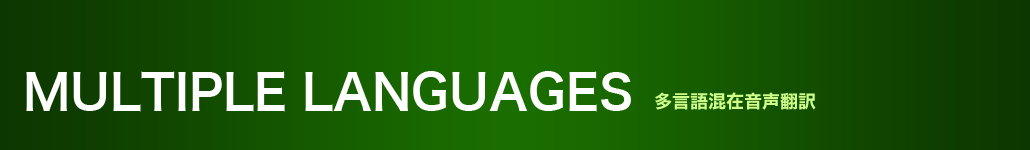 多言語混在音声翻訳